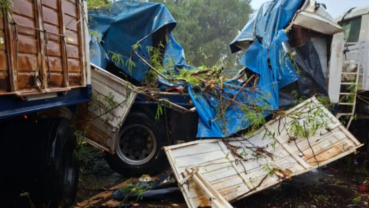 Es de Laguna Paiva: Un árbol le partió el camión y vive para contarlo