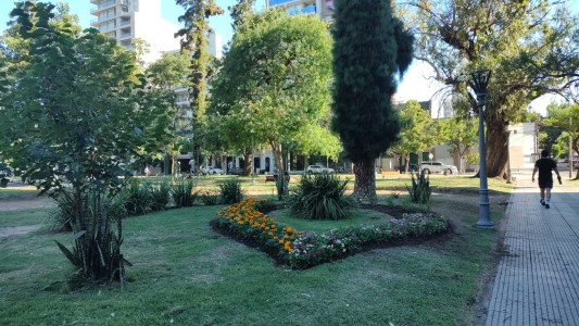 Se suman más de 100 nuevos canteros en la ciudad de Santa Fe