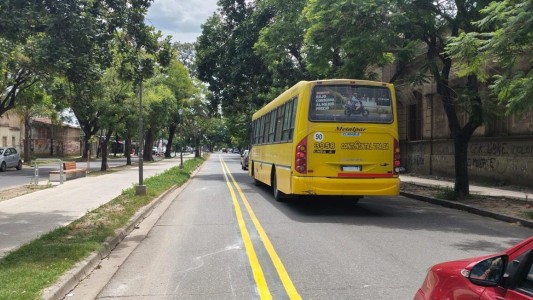 Red ciclística integrada en Santa Fe: Mirá de qué se trata y cómo avanza