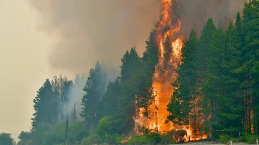 Declaran la emergencia ígnea en cuatro provincias por incendios en la Patagonia