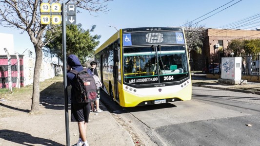 Ingresaron a robar a la parada de la línea 8: se llevaron electrodomésticos y saquitos de té