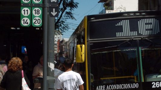 Feriados de carnaval: mirá cómo funcionan los servicios municipales