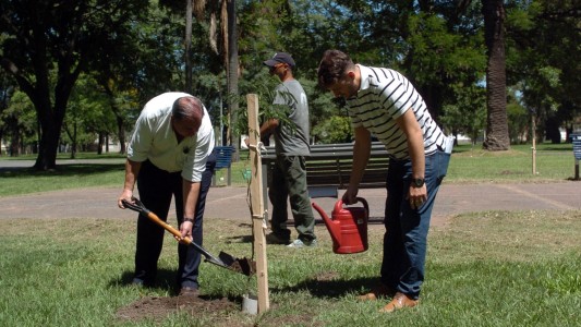 El intendente Poletti plantó el árbol número 5000 del año