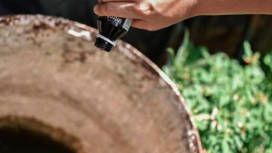 Baja la presencia del vector del dengue en los barrios de la ciudad