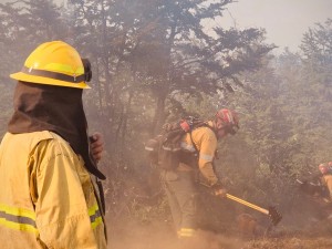 Incendios en la Patagonia: brigadistas de Santa Fe colaboran en Puerto Patriada