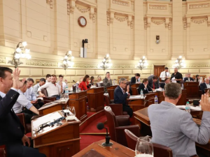 El Senado de Santa Fe dio media sanción a la nueva Ley Orgánica de Municipios y el proyecto pasó a Diputados