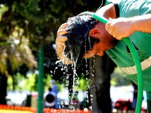 Ola de calor en Santa Fe: la sensación térmica superó los 46°C