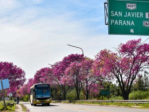 Nuevo Carretero: quedó operativo un desvío en la mano a Santo Tomé