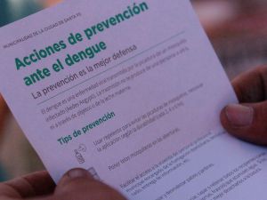 Casi cuarenta barrios de la ciudad persisten con la presencia del vector del dengue