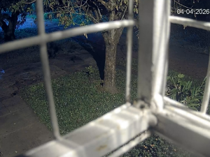 Inseguridad y abandono: el reclamo de vecinos de barrio Las Delicias