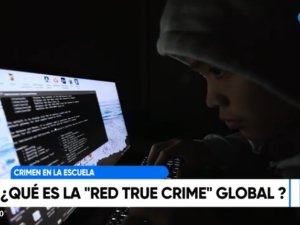 Crimen en la escuela de San Cristóbal: qué es la "Red True Crime" y por qué preocupa a la Justicia