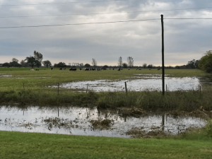 Declararon la emergencia para productores afectados por las lluvias
