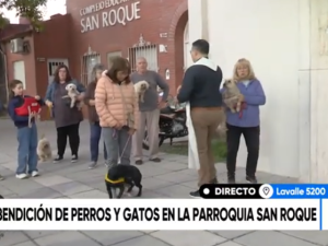 Día del Animal: emotiva bendición de perros y gatos en la Parroquia San Roque