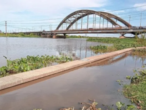 "No sabemos el impacto que va a tener 'El Niño' en la región" advierten desde el INA