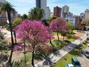 Fresco y con algunas nubes, así se presenta el martes en Santa Fe