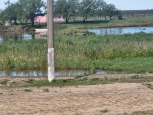 Encontraron muerta a la mujer que era intensamente buscada en Coronda