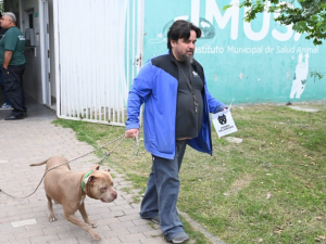 Programa Huellas: comenzó el chipeo obligatorio de perros de más de 15 kg