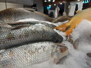 Semana Santa: ¿cuáles son las recomendaciones para consumir pescado adecuadamente?