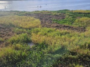 En junio se retirará el embalsado de la Laguna Setúbal