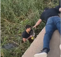 Final feliz: rescataron a un gato que cayó al agua en la costanera de Santo Tomé