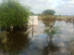 Villa Minetti sigue bajo el agua a 15 días del temporal: “No baja y no tiene salida”