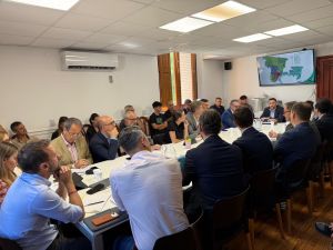 Cuidacoches: en Diputados, el municipio de Santa Fe pidió que se sancione su prohibición