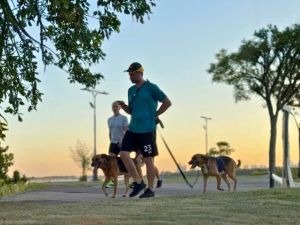 El Concejo aprobó normas vinculadas a la protección y cuidado de los animales de compañía