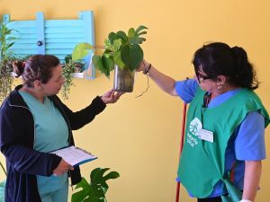 Afirman que la presencia del vector del dengue se redujo en los barrios de la ciudad