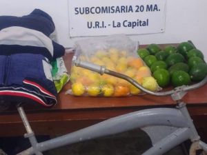 Arroyo Leyes: Entró a robar frutas de un árbol, se cayó y terminó internado y detenido