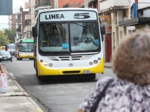 Una embarazada fue hospitalizada tras un golpe en un colectivo de la línea 5