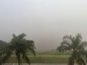 Feriado: la ciudad amaneció bajo una espesa niebla que dificulta la visibilidad