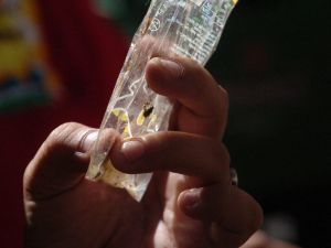 Baja la presencia del vector del dengue en la ciudad
