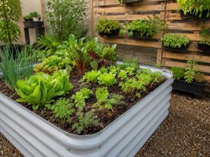 “Patios Comestibles”: cómo es la propuesta de educación alimentaria en la ciudad