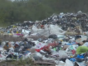 Reciclado en Rincón: el duro trabajo de una cooperativa que pide ayuda