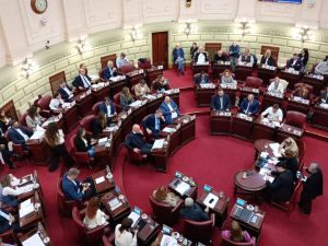 Regulación de "trapitos" en Santa Fe: Diputados aprobó el proyecto con cambios y vuelve al Senado