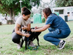 Jornada de salud, ambiente y bienestar animal en el parque Federal