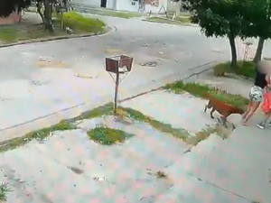 Imputaron a la mujer que intentó rociar y prender fuego a otra