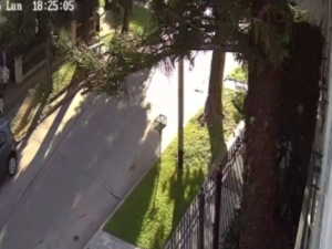 Intento de robo piraña en barrio 7 Jefes: escaparon porque fueron descubiertos