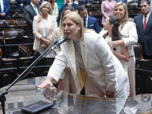 Unidos: el nuevo interbloque que reúne a 22 diputados y será liderado por Gisela Scaglia