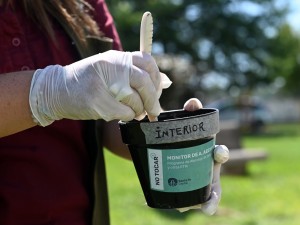 Dengue: el vector Aedes Aegipty se encuentra en 30 barrios de la ciudad