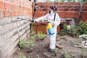 Dengue: 35 barrios de la ciudad registran la presencia del vector