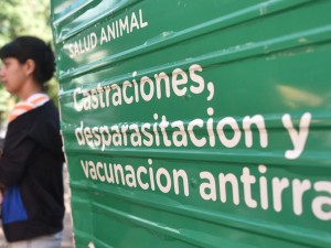 Alta demanda de castraciones y vacunaciones en las sedes del IMUSA