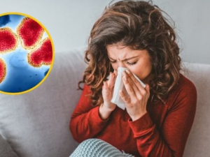 Advierten un aumento “nunca visto” de casos de gripe H3N2 por una nueva variante