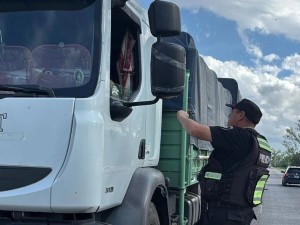 Fin de semana larga: más de 8 mil vehículos fueron controlados en las rutas santafesinas