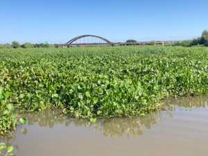 Maratón Santa Fe - Coronda: confirman que el recorrido no pasará por el vado de Santo Tomé