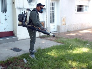 Dengue en Santa Fe: se activó protocolo y bloqueo en barrio Sur