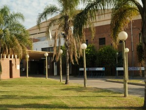 Una beba fue internada en el Alassia tras ser atacada por un perro