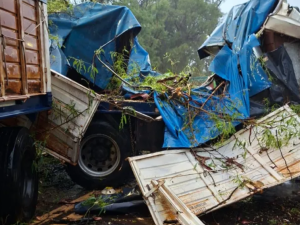 Es de Laguna Paiva: Un árbol le partió el camión y vive para contarlo