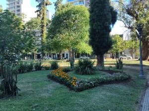 Se suman más de 100 nuevos canteros en la ciudad de Santa Fe