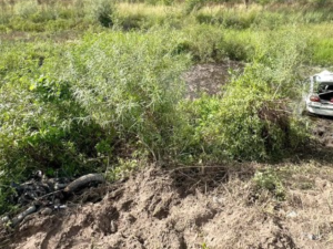 Choque fatal en la Ruta 1: dos muertos y un menor internado en grave estado